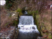 Lord's Mill
